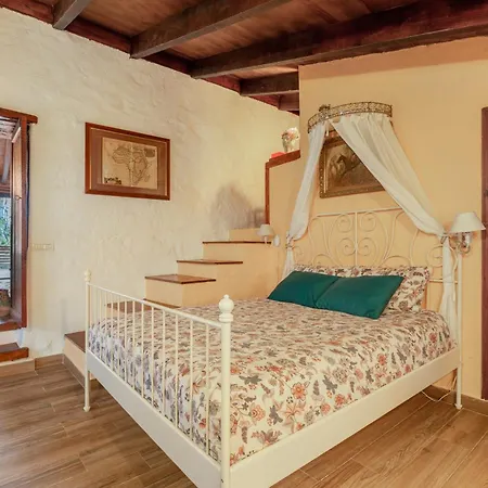 Holiday home Casa Palmera - Private Paradise Tacoronte