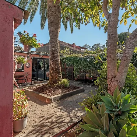 Holiday home Casa Palmera - Private Paradise Tacoronte