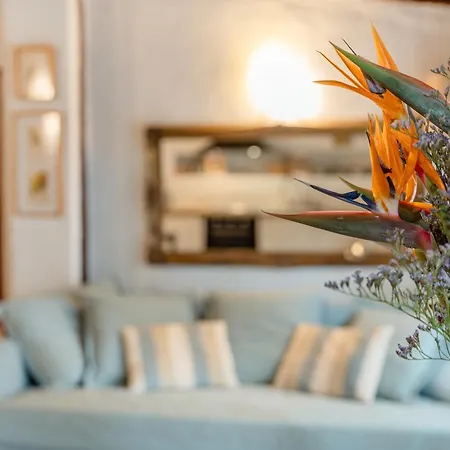 Holiday home Casa Palmera - Private Paradise Tacoronte