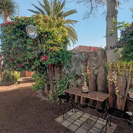 Holiday home Casa Palmera - Private Paradise *
