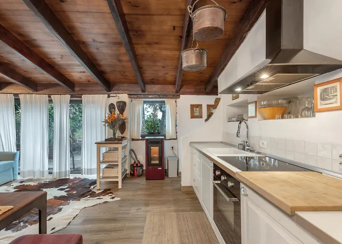 Casa Palmera Сasa de vacaciones Tacoronte