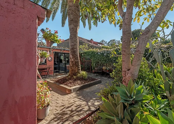 Holiday home Casa Palmera - Private Paradise Tacoronte