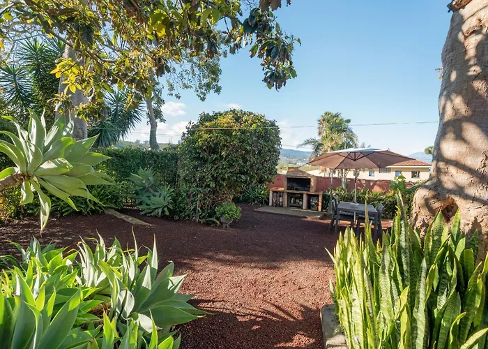 Casa Palmera Tacoronte