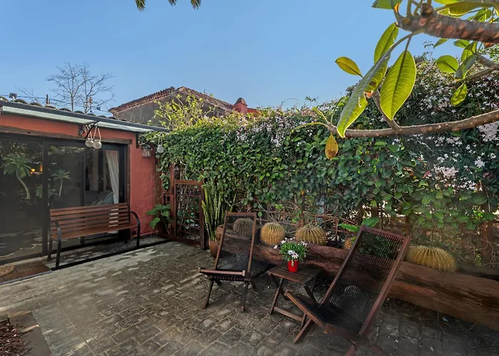 Casa Palmera - Private Paradise