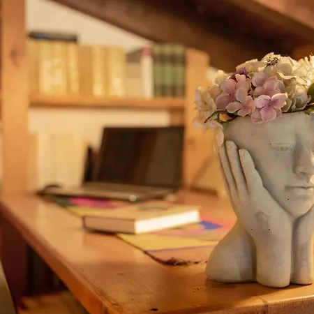 Casa Palmera - Private Paradise Prázdninový dům Tacoronte