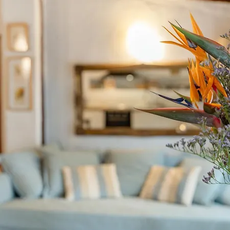 Casa Palmera - Private Paradise