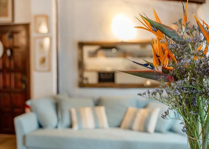 Casa Palmera - Private Paradise * 塔科龙特